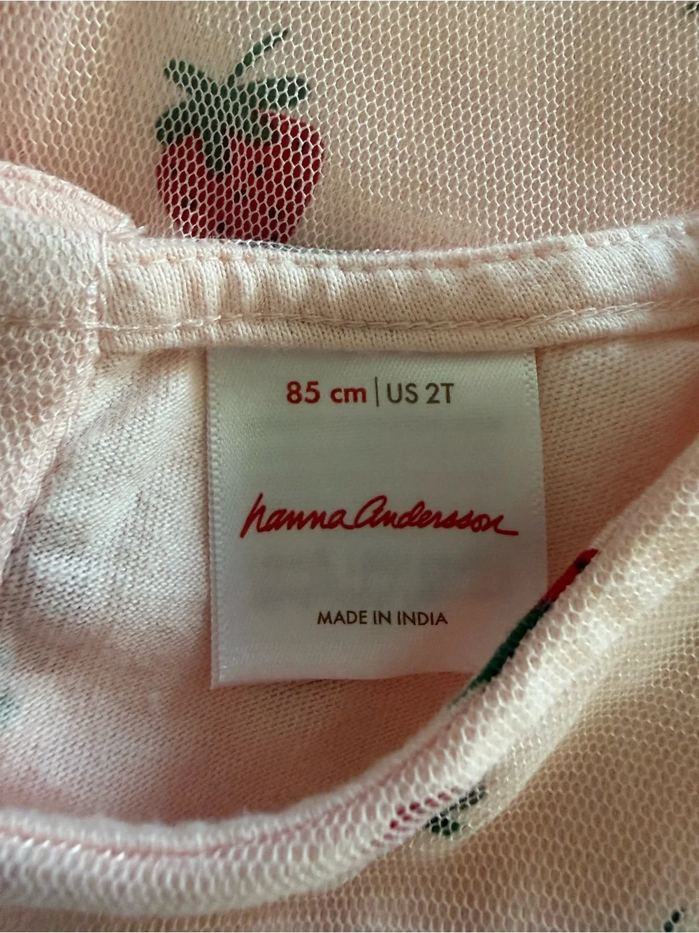 NWOT Hanna Andersson Pink Strawberry Tulle Dress